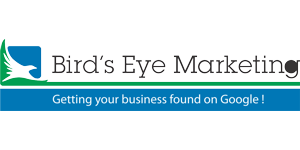 Logo-Birds Eye Marketing